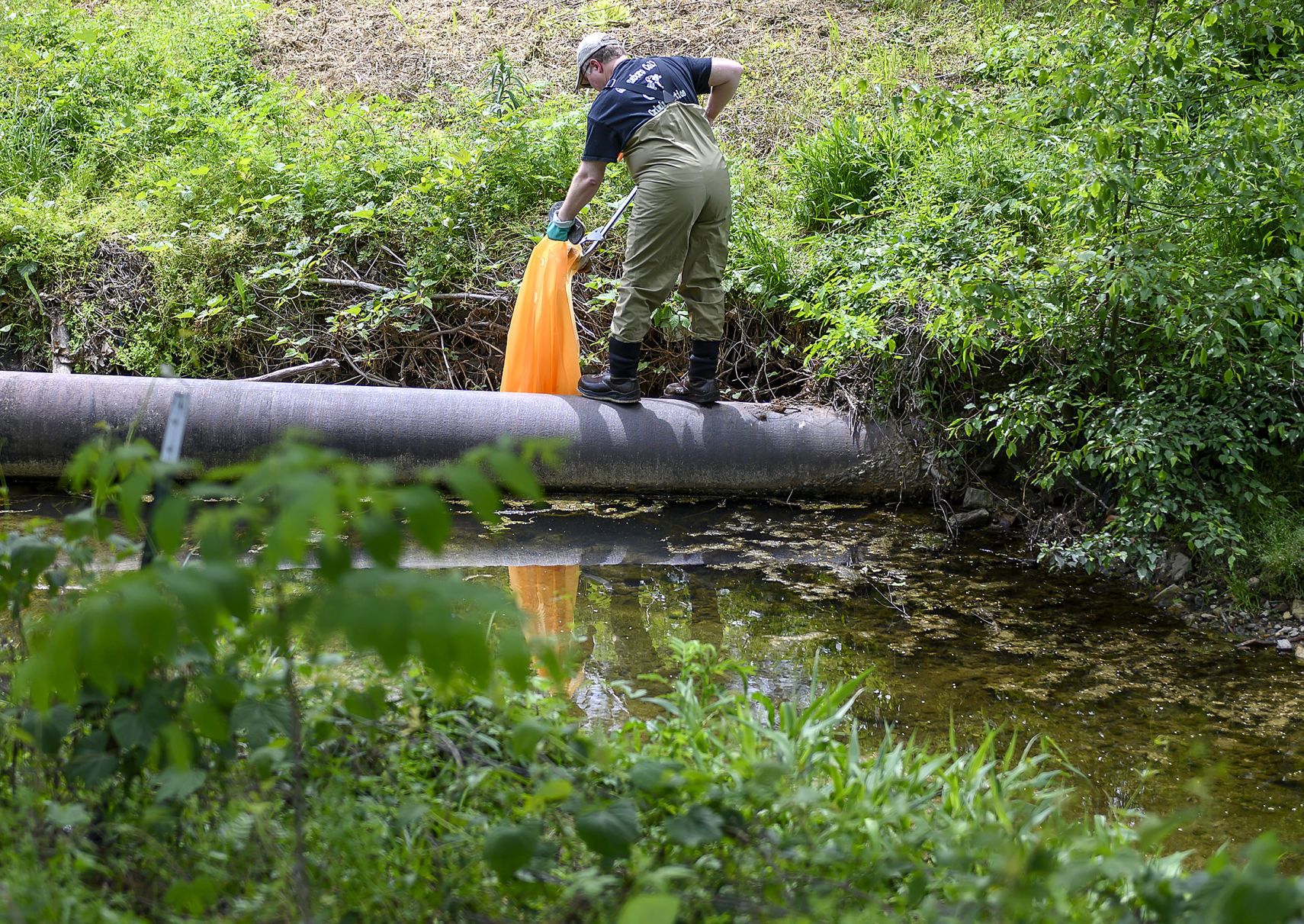 Spring Stream Walk